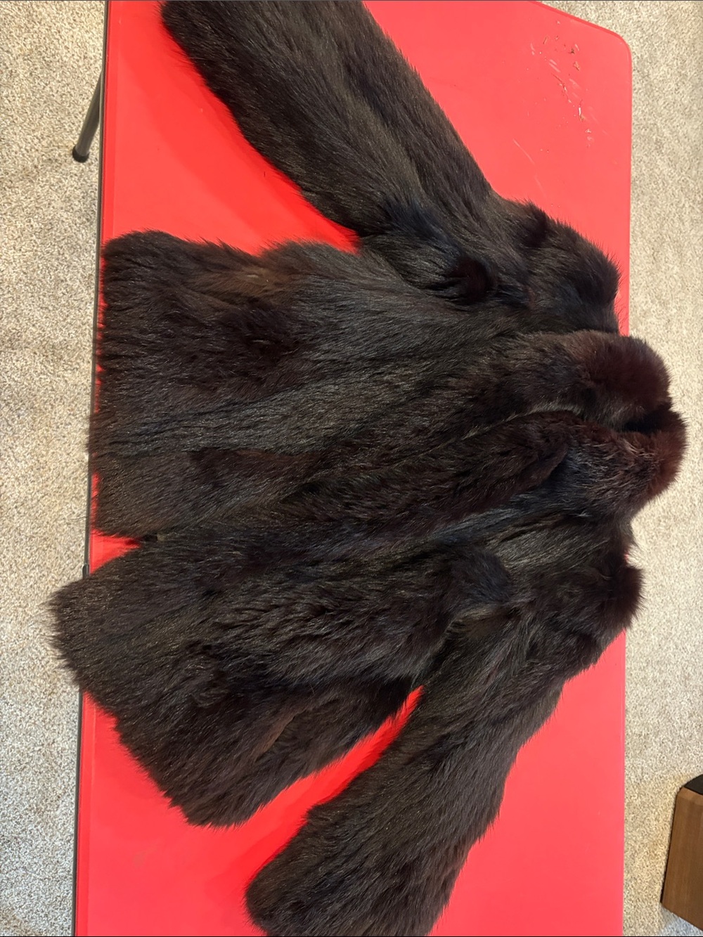 Dark Brown Full Fur Coat Muskrat- Luxurious.  2a
